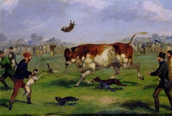 Samuel Henry Alken - picture of bull baiting.