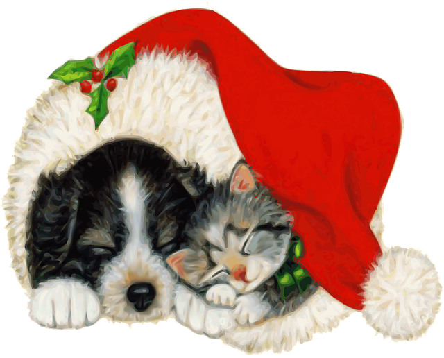Christmas pup and kitten under Santa hat.